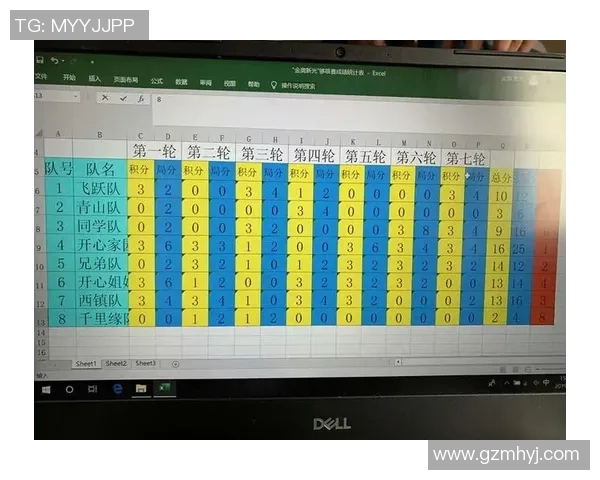 深圳排球队在精英赛中的技术表现分析与点评